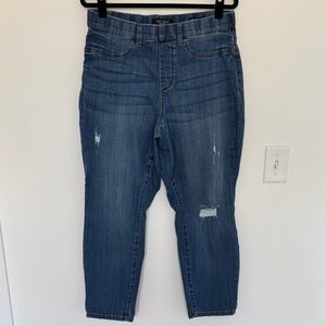 Judy Blue Boyfriend Fit Distressed Ankle Jeans, Style#JB88369 - 16W